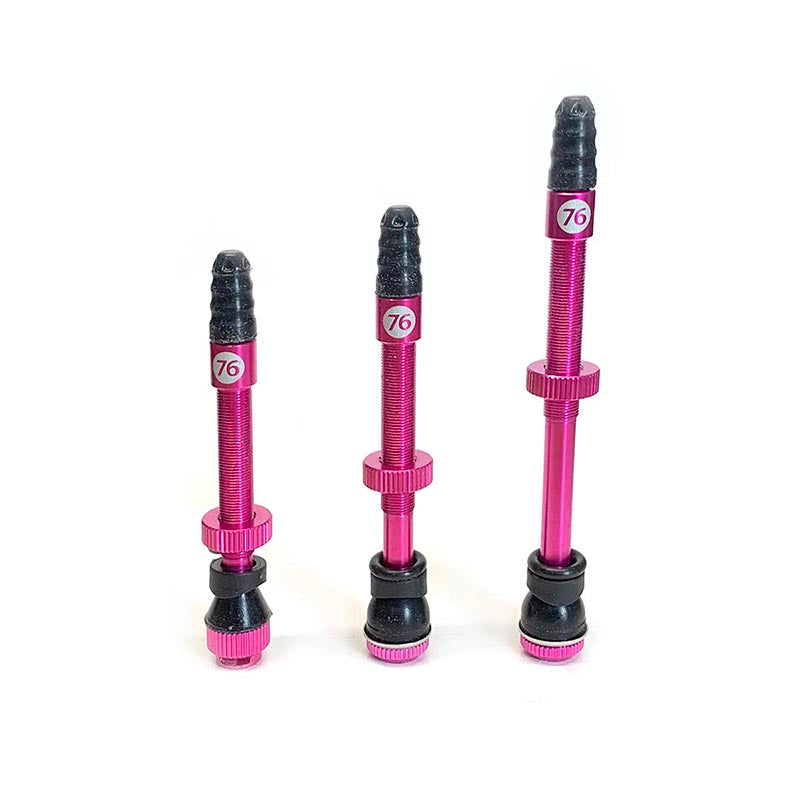 76 Tubeless Valve