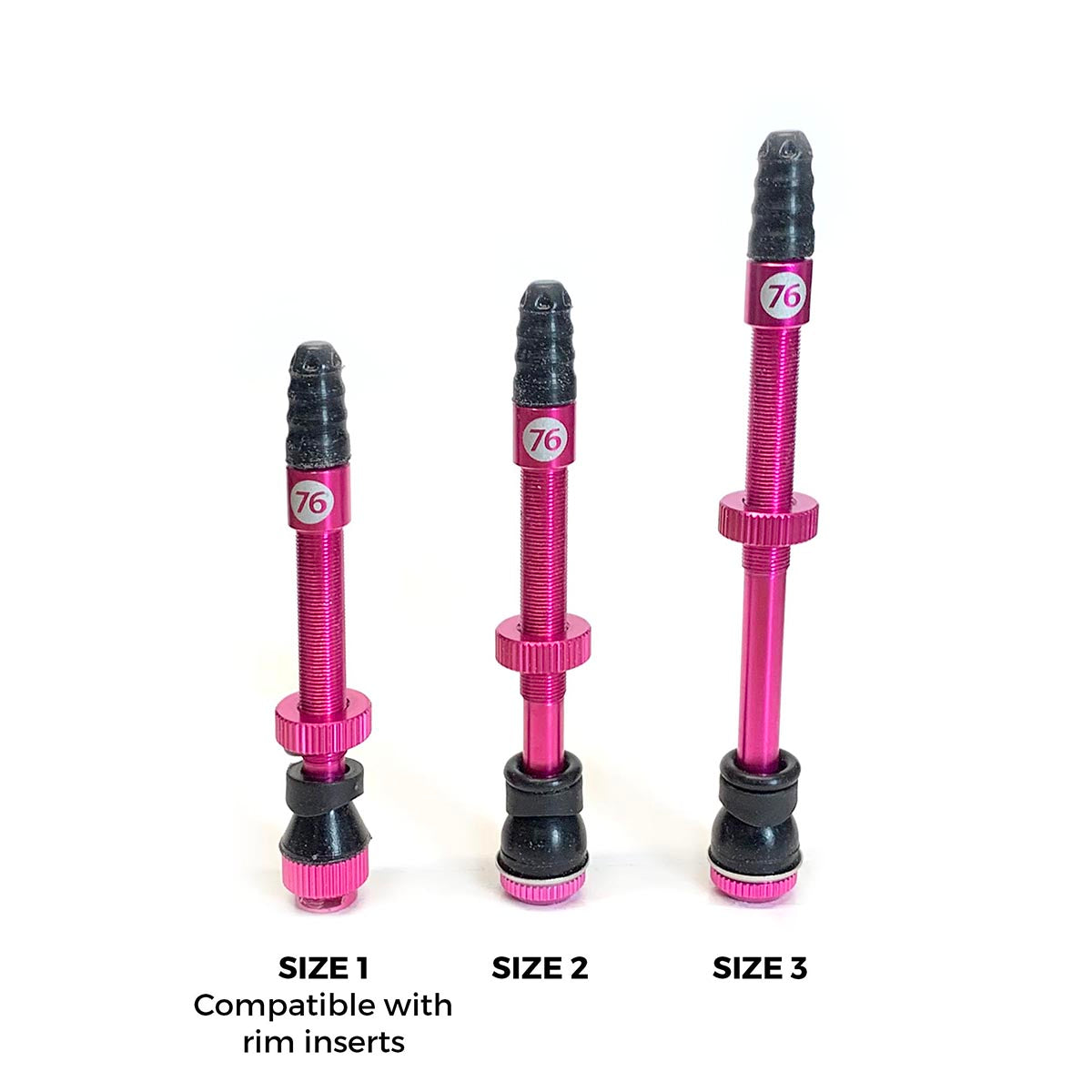76 Tubeless Valve