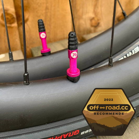 76 Tubeless Valve