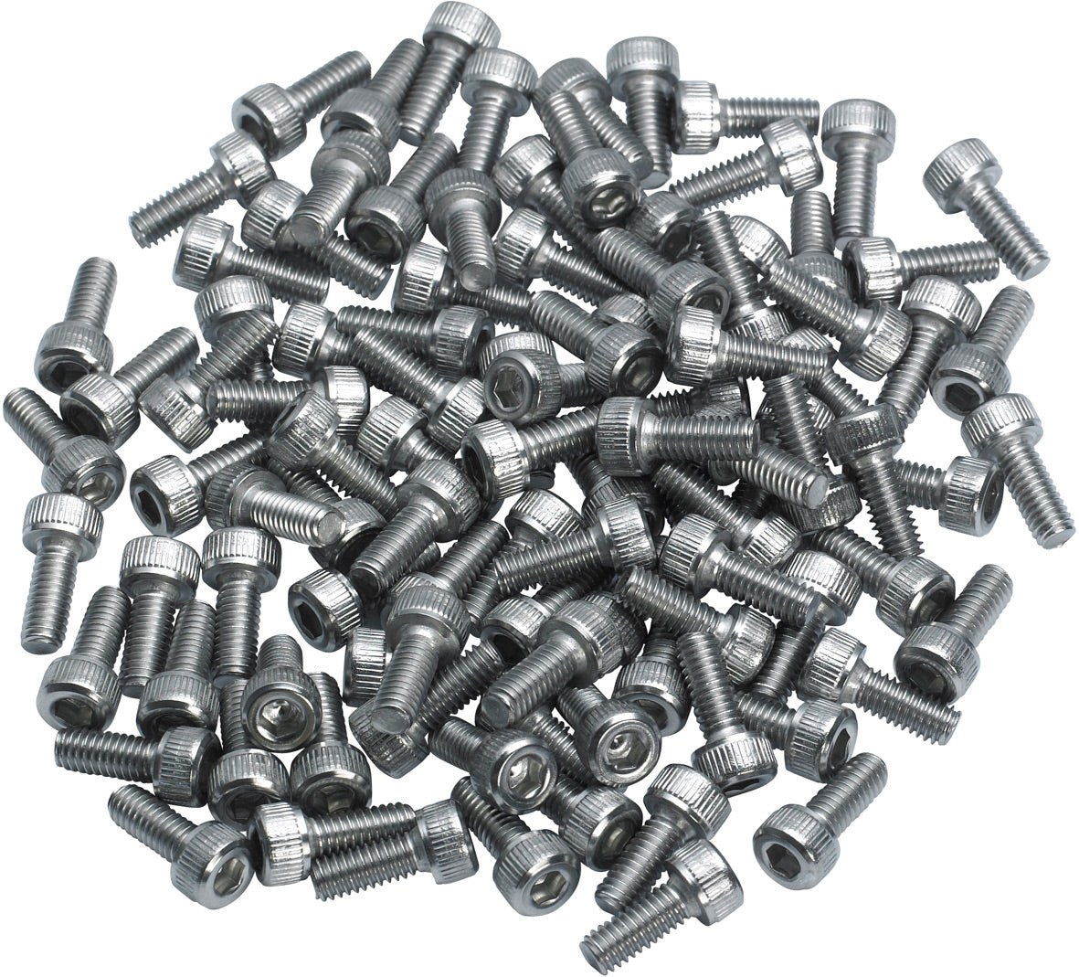 M6 x 16mm Stainless Steel bolts